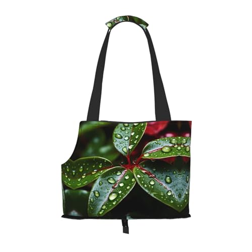 Bedruckte Haustier-Umhängetasche mit Weihnachtsstern, faltbares Design, kleine Katzen- und Hunde-Reisetasche Bedruckte Haustier-Umhängetasche mit Weihnachtsstern, faltbares Design, kleine Katzen- und Hunde-Reisetasche von WBQLSL