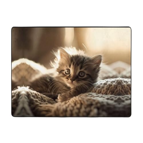 WBQLSL Bedruckter Teppich für Wohnzimmer, 160 x 121,9 cm, für Heimbüro, geeignet für unter Sofa, Arbeitszimmer WBQLSL Bedruckter Teppich für Wohnzimmer, 160 x 121,9 cm, für Heimbüro, geeignet für unter Sofa, Arbeitszimmer von WBQLSL