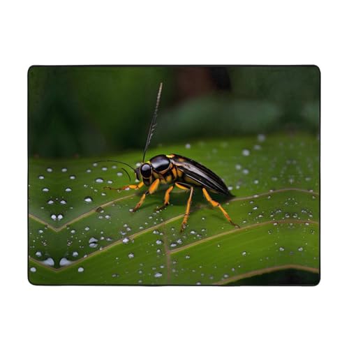 WBQLSL Bedruckter Teppich mit Insekten auf Blättern, 160 x 121,9 cm, angenehme Haptik, verschönert den Einrichtungsstil WBQLSL Bedruckter Teppich mit Insekten auf Blättern, 160 x 121,9 cm, angenehme Haptik, verschönert den Einrichtungsstil von WBQLSL
