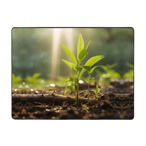 WBQLSL Bedruckter Wohnzimmerteppich, Spargel, 160 x 121,9 cm, für Heimbüro, geeignet für unter Sofa, Arbeitszimmer WBQLSL Bedruckter Wohnzimmerteppich, Spargel, 160 x 121,9 cm, für Heimbüro, geeignet für unter Sofa, Arbeitszimmer von WBQLSL