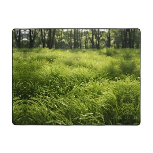 WBQLSL Billow Bedruckter Wohnzimmerteppich, 160 x 121,9 cm, Bodenmatte für Heimbüro, geeignet für unter Sofa, Arbeitszimmer WBQLSL Billow Bedruckter Wohnzimmerteppich, 160 x 121,9 cm, Bodenmatte für Heimbüro, geeignet für unter Sofa, Arbeitszimmer von WBQLSL