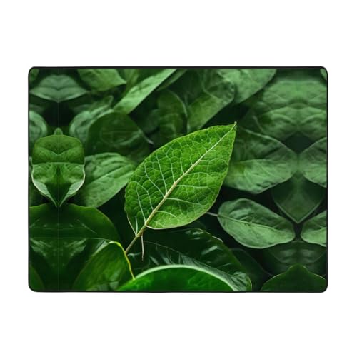 WBQLSL Green Leaf Nature bedruckter Wohnzimmerteppich, 160 x 121,9 cm, Bodenmatte für Zuhause, Büro, geeignet für unter Sofa, Arbeitszimmer WBQLSL Green Leaf Nature bedruckter Wohnzimmerteppich, 160 x 121,9 cm, Bodenmatte für Zuhause, Büro, geeignet für unter Sofa, Arbeitszimmer von WBQLSL