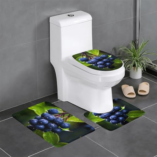 WBQLSL Plump Blueberries Saugfähige Bodenmatte - 3-teiliges Set - Badezimmer Anti-Rutsch-Matte Schlafzimmer Türmatte Küchenmatte von WBQLSL