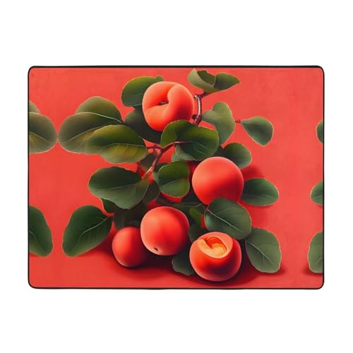WBQLSL Teppich mit rotem Aprikosen-Druck, 160 x 121,9 cm, angenehme Haptik, verschönert den Einrichtungsstil WBQLSL Teppich mit rotem Aprikosen-Druck, 160 x 121,9 cm, angenehme Haptik, verschönert den Einrichtungsstil von WBQLSL