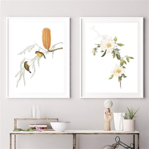 Leinwand Wandkunst,2 Bilder Set-Abstraktes Blumen-Poster Botanisches Poster Weiße Vintage-Blumen Wandbilder Banksia-Blume Leinwandmalerei Bürodrucke Dekor Kunstwerk-50*70cm/(20*27 Zoll)ungerahmt von WBYZAC