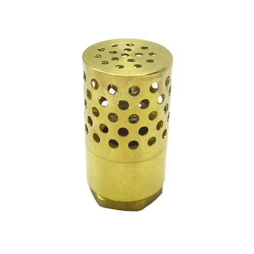 3/4 "1" 1-1/4 "1-1/2" Innengewinde Messing Rückschlagventil Sieb Filter Bodenventil Fußventil for Wasserpumpe(3I4 Female) von WBZARCPNG
