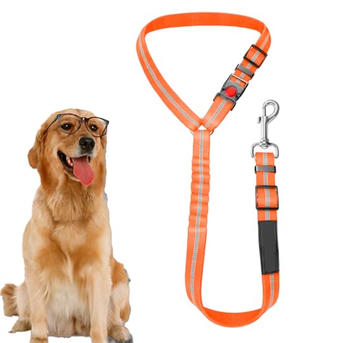 WBZOWRB 1 Stück Hundegurt Fürs Auto, Anschnallgurt Hund Auto Mit Universalschnalle Und Einstellbarem, 2-In-1 Kopfstützen-Rückhalte Reflektierendem, Anschnaller Hund Auto Für Hunde Jeder Größe(orange) WBZOWRB 1 Stück Hundegurt Fürs Auto, Anschnallgurt Hund Auto Mit Universalschnalle Und Einstellbarem, 2-In-1 Kopfstützen-Rückhalte Reflektierendem, Anschnaller Hund Auto Für Hunde Jeder Größe(orange) von WBZOWRB