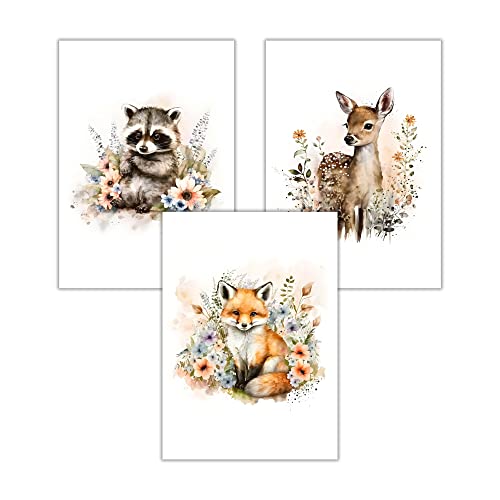 WBdesignz Kinderzimmer 3 Bilder Set Tiere Babyzimmer Deko Fuchs Reh Waschbär Poster für Kinder (ohne Rahmen) von WBdesignz