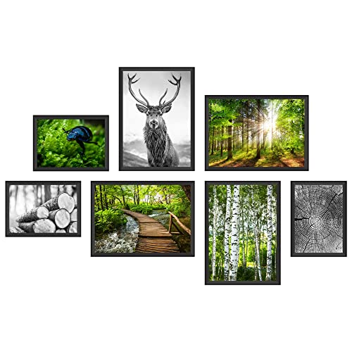 WCB Premium Poster Set – ''Wald'' 7 mit 14 Motiven (beidseitig bedruckt) - Medium 4x DIN A4 + 3x A5 Bilder-Set OHNE Rahmen für Wanddekoration von WCB