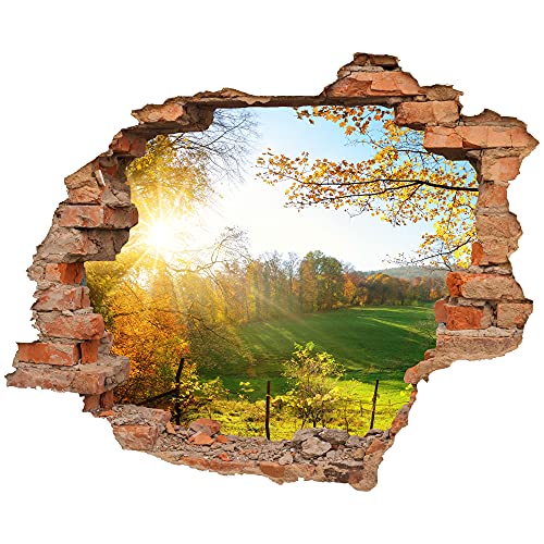 Wandtattoo - Wanddurchbruch mit Aussicht "Waldlichtung" 110 x 90 cm - Wandsticker von WCB