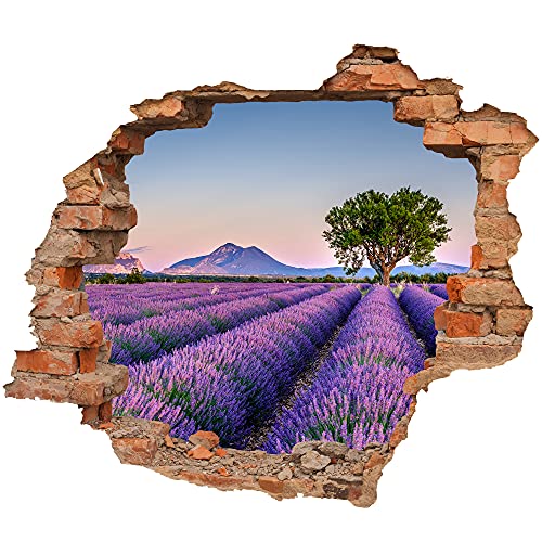 Wandtattoo - Wanddurchbruch mit Aussicht "Lavendelfeld" 70 x 57 cm (BxH) - Wandsticker von WCB