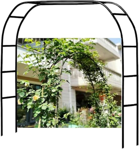 WCQSYY Robuste Rosenbogen Torbogen Rostfrei Metall Gartenbogen Rankgitter Für Rosen Und Kletterpflanzen, 120CM 140CM 180CM 240CM 350CM Rosenbögen,Schwarz,W3M*H2.2M von WCQSYY
