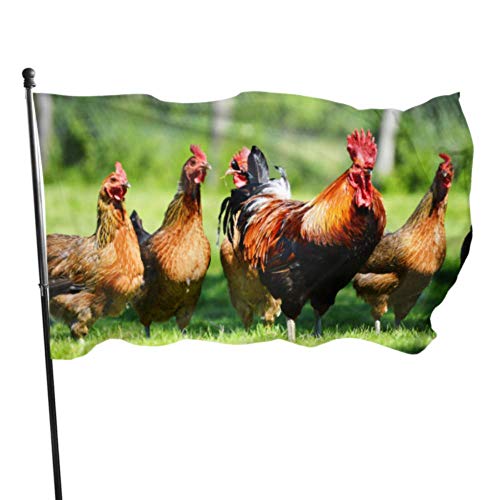 WDDHOME Hühner auf traditionelle Freilandhaltung Geflügel Room Decor Flags individuell Bedruckte Flagge 3 x 5 Fuß lebendige Farben Qualität Polyester und Messing Ösen von WDDHOME