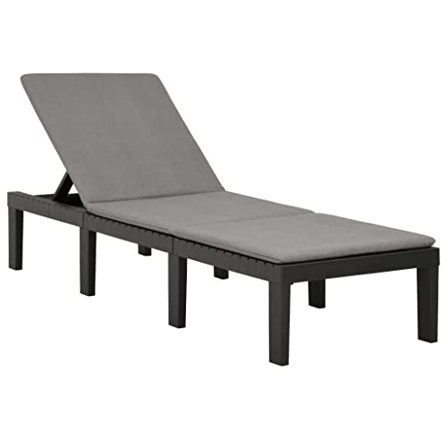 Sonnenliege mit Auflage Anthrazit, Adjustable Sun Lounger with Cushion, Outdoor Lounge Chair for Garden Pool Beach, Lightweight Plastic Recliner with 5-Position Backrest, No Assembly Required von WDGJJFECNMUEHI