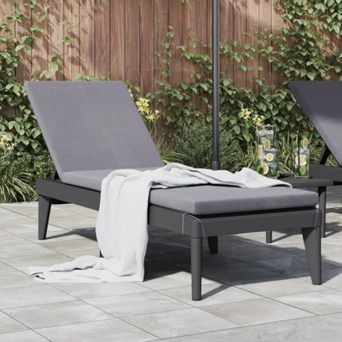 WDGJJFECNMUEHI Sonnenliege Anthrazit 186x60x29 cm PP Adjustable Sun Lounger with 4-Position Reclining Backrest, Lightweight UV-Resistant Polypropylene Outdoor Lounge Chair for Poolside, Garden, Patio von WDGJJFECNMUEHI