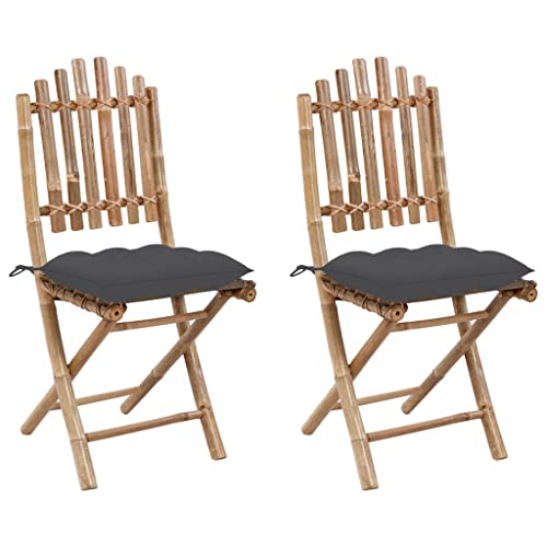 WDGJJFECNMUEHI gartenmöbel Kunststoff stühle balkonKlappbare Gartenstühle 2 STK. mit Kissen BambusGeeignet für Gärten, Terrassen und Balkone von WDGJJFECNMUEHI