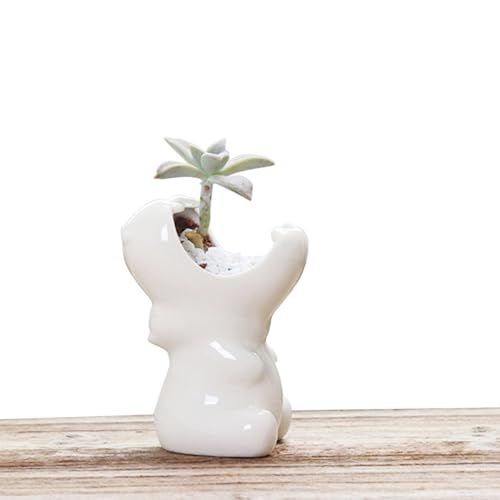 WDOPEN Keramik-Tier-Sukkulenten-Übertopf, Mini-niedlicher Keramik-Tier-Blumentopf, Sukkulententententöpfe mit Drainage, Zimmerpflanzen-Pflanzgefäß (Hippo) von WDOPEN