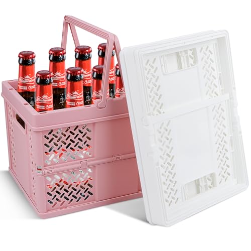 WDZGX Faltbare Aufbewahrungskorb Klappkiste Kleine 23.5 * 17 * 15cm Klappbox Klappkorb Klappkisten mit Henkel Deckel für Schrank Bücherregal Badezimmer Schlafzimmer Küche Arbeitszimmer Büro (2er Set) von WDZGX