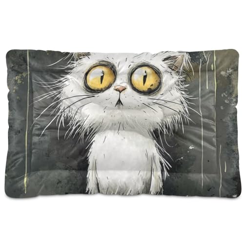 WDdZzyy Haustierbett mit Cartoon-Katze, waschbar, weich, rutschfest, für große, mittelgroße und kleine Hunde, 91,4 x 61 cm, Grau WDdZzyy Haustierbett mit Cartoon-Katze, waschbar, weich, rutschfest, für große, mittelgroße und kleine Hunde, 91,4 x 61 cm, Grau von WDdZzyy