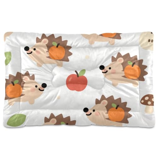 WDdZzyy Haustierbett mit niedlichem Cartoon-Igel, waschbar, rutschfest, weich, bequem, für mittelgroße und große Hunde, 91,4 x 61 cm von WDdZzyy