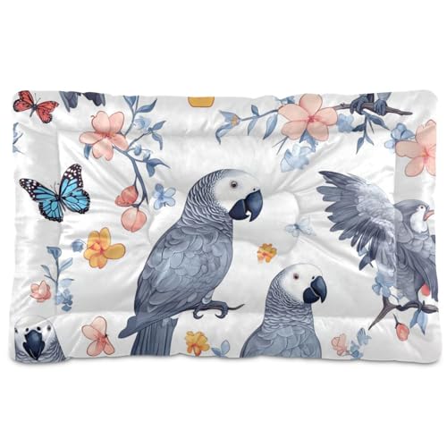 WDdZzyy Hunde- und Katzenbett mit Cartoon-Motiv, waschbar, rutschfest, weich, bequem, für große, mittelgroße und kleine Hunde, 91,4 x 61 cm, Weiß WDdZzyy Hunde- und Katzenbett mit Cartoon-Motiv, waschbar, rutschfest, weich, bequem, für große, mittelgroße und kleine Hunde, 91,4 x 61 cm, Weiß von WDdZzyy