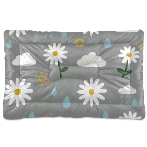 WDdZzyy Hundematte mit Gänseblümchen-Motiv, waschbar, weich, bequem, rutschfeste Unterseite, für große, mittelgroße und kleine Hunde, 91,4 x 61 cm, Grau WDdZzyy Hundematte mit Gänseblümchen-Motiv, waschbar, weich, bequem, rutschfeste Unterseite, für große, mittelgroße und kleine Hunde, 91,4 x 61 cm, Grau von WDdZzyy