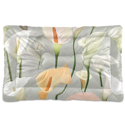 WDdZzyy Sweet Calla Lily Haustierbett, neutrale Blume, waschbar, weich, bequem, rutschfeste Unterseite, für mittelgroße und große Hunde, 91,4 x 61 cm WDdZzyy Sweet Calla Lily Haustierbett, neutrale Blume, waschbar, weich, bequem, rutschfeste Unterseite, für mittelgroße und große Hunde, 91,4 x 61 cm von WDdZzyy