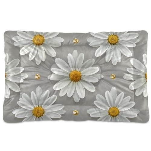 WDdZzyy Trendiges Gänseblümchen-Blumenmuster, waschbar, weich, bequem, rutschfeste Unterseite, für große, mittelgroße und kleine Hunde, 91,4 x 61 cm, Weiß / Grau WDdZzyy Trendiges Gänseblümchen-Blumenmuster, waschbar, weich, bequem, rutschfeste Unterseite, für große, mittelgroße und kleine Hunde, 91,4 x 61 cm, Weiß / Grau von WDdZzyy