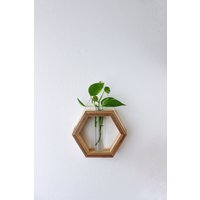 Große Hexagon Vase Für Wand Halterung Hängend Holz Mit Reagenzglas Blumen - Vermehrungsstation Ableger Pflanzen -Propagation Station von WDstudioDE