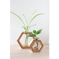 Hexagon Vase Aus Holz Mit Reagenzglas Für Blumen - Vermehrungsstation Ableger Und Pflanzen Propagation Station von WDstudioDE