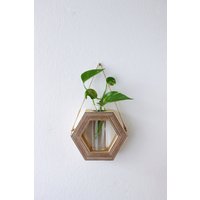 Hexagon Vase Für Wand Halterung Hängend Aus Holz Mit Reagenzglas Blumen - Vermehrungsstation Ableger Pflanzen Propagation Station von WDstudioDE