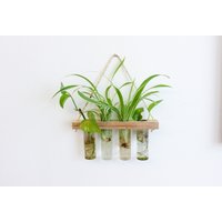 Vermehrungsstation Für Ableger Pflanzen - Propagation Station Aus Holz Wand Als Wandbehang Mit Reagenzglas Blumen Oder Trockenblumen von WDstudioDE