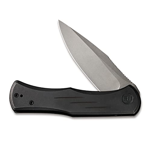 0 We Knife Co Ltd Primoris Framelock Black SW von WE
