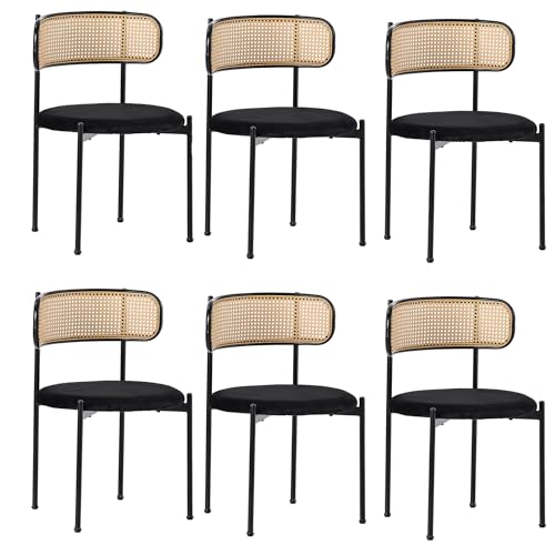 Moderner Samtstuhl mit Metallbeinen und ergonomisch geschwungener Rückenlehne aus Rattan – Esszimmerstuhl mit rundem Sitzpolster für Wohnzimmer Schlafzimmer Küche stilvolle Einrichtung (Schwarz,6) von WEALTHKING