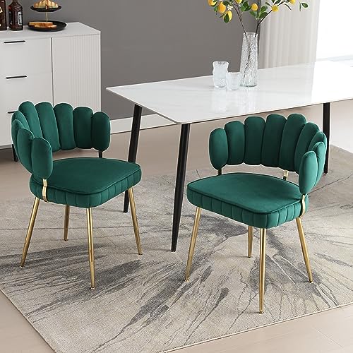 Modernes Samt Esszimmerstuhl 2er Set mit ergonomischer blumenförmiger Rückenlehne, bequemer Polsterstuhl mit abgerundeten Armlehnen und dicker Schaumstofffüllung, goldene Metallbeine (Smaragd) von WEALTHOUSE