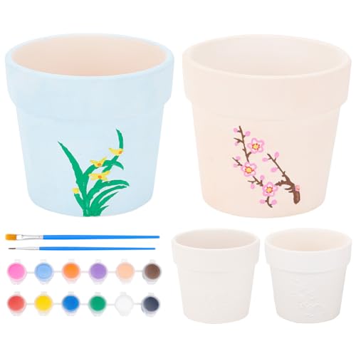 WEBEEDY 2 Set DIY Keramik Blumentöpfe Figuren Bemalen Sie Ihre Eigenen Keramiksukkulententöpfe Bemalbare Keramik-Blumentöpfe Klassenzimmer-Bastelprojekt Für Anfänger Geschenke zu Weihnachten von WEBEEDY