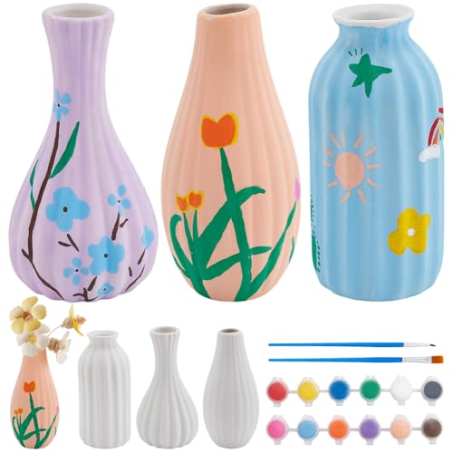 WEBEEDY 3 Größen Keramiktöpfe Malset DIY Keramikvasen Set Für Erwachsene Anfänger Bemale Deine Eigene Keramik Unbemaltes Weißes Keramikvasen Dekorationsset Für Schreibtisch Geburtstagsgeschenk von WEBEEDY