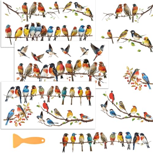 WEBEEDY 3 Pcs Bunte Vogel Möbel-Transfer-Aufkleber, 30x15 Peel und Stick Wallpaper Murals mit Sticker Scraper, DIY Wall Stickers Decor Cute Window Wall Art for Room Home Decor von WEBEEDY