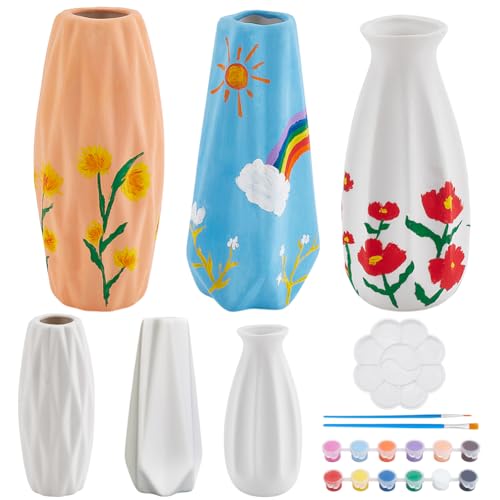 WEBEEDY 3 Set Vase Töpfermalset Bemale Deine Eigene Vase Keramikmalset Für Erwachsene Unbemalte Vase Mit Rautenkante Für Kunstmalerei Party Geburtstagsgeschenk (3 Formen) von WEBEEDY