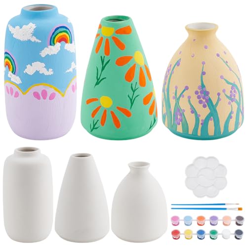 WEBEEDY 3 Set Vase Töpfermalset Für Erwachsene Malen Sie Ihre Eigene Vase Keramikmalset Unbemalte Weiße Vase Für Kunstmalerei Party Geburtstag Muttertagsgeschenk(3 Formen) von WEBEEDY