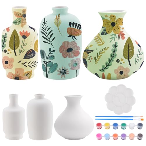 WEBEEDY 3 Set Zum Selbermachen von Keramikvase Töpfern Zum Bemalen Vase Topf Töpfermalset Zu Hause Malen Sie Ihre Eigenen Keramik Töpfe Vasen Malen Kunsthandwerk Für Die Heimdekoration Geschenk von WEBEEDY