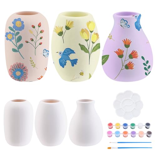 WEBEEDY 3 Styles DIY Keramik Sukkulenten Töpfe Mal-Set Für Erwachsene Anfänger Bemalbare Keramik Sukkulenten Pflanzentöpfe DIY Weißes Keramik Dekorationsset Für Zuhause von WEBEEDY