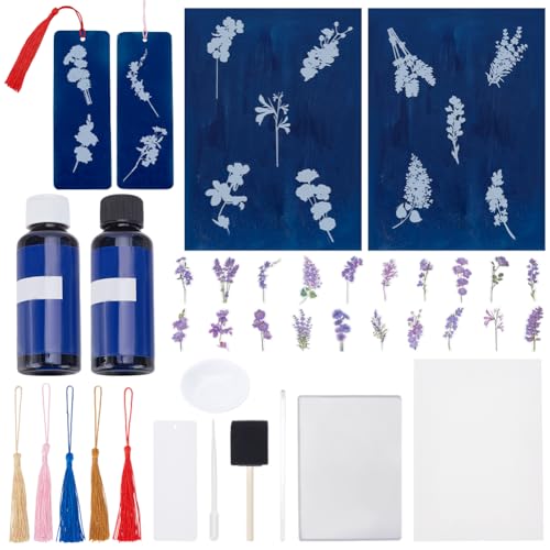 WEBEEDY Cyanotype Set Blumen Cyanotypie Papier Set Hohe Empfindlichkeit Sonnendruckpapier Cyanotypie Kit Mit 20 Blumen Aufklebern Für Erwachsene 30 Blätter 21.1 x 14.8cm WEBEEDY Cyanotype Set Blumen Cyanotypie Papier Set Hohe Empfindlichkeit Sonnendruckpapier Cyanotypie Kit Mit 20 Blumen Aufklebern Für Erwachsene 30 Blätter 21.1 x 14.8cm von WEBEEDY