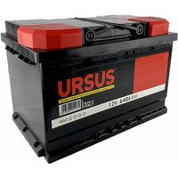 Batterie für Auto 'Ursus' 80 Ah - mm 313 x 175 x 190 von IPERBRIKO