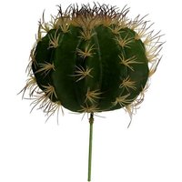 Grüner Kaktuszweig cmø25h17-30 Grüner Kaktuszweig cmø25h17-30 von WEBMARKETPOINT