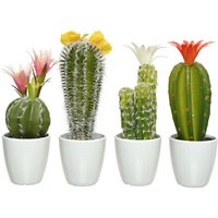 Kaktuspflanze mit Topf 7,5x7,5x24h cm von WEBMARKETPOINT