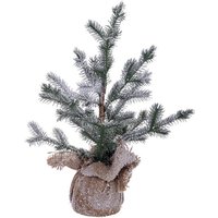Nordendkiefer mit Schnee bedeckt h 45 cm von WEBMARKETPOINT