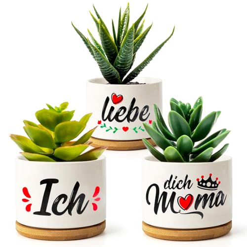 WEDNOK 3 Stück Mama Blumentopfe Beste Mama Geschenke Muttertagsgeschenk Ich Liebe Dich Mama Geburtstagsgeschenk Sukkulenten Topf mit Untersetzer für Mutter Geburtstag Muttertag Weihnachten von WEDNOK