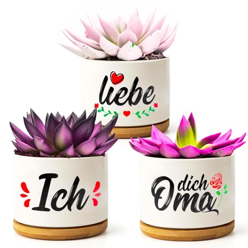 WEDNOK 3 Stück Oma Blumentöpfe Beste Oma Geschenke Muttertagsgeschenk Ich Liebe Dich Oma Geburtstagsgeschenk Sukkulenten Topf mit Untersetzer für Großmutter Geburtstag Muttertag Weihnachten von WEDNOK