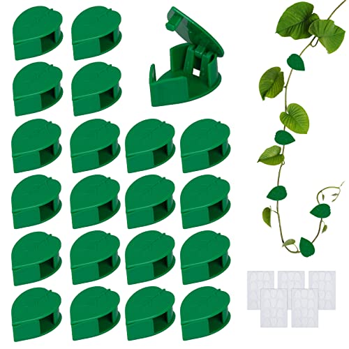 WEDNOK 60 Stück Kletterpflanzen Befestigung Wand Pflanzenclips Pflanzen Wandhalterung Clips Kletterhilfe Pflanzenkletter Halterung Pflanzenklammern für Gardening Plant Support Climbing Wall Gemüse von WEDNOK